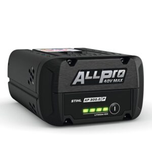 AP 300 P ALLPRO Battery